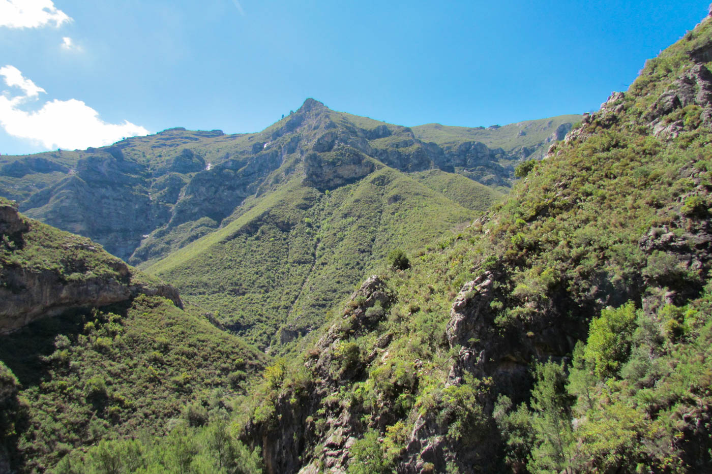 Este entorno de montaña semi tropical es impresionante