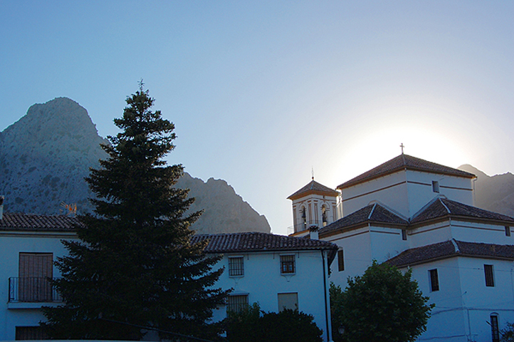Summer sunset in the village
