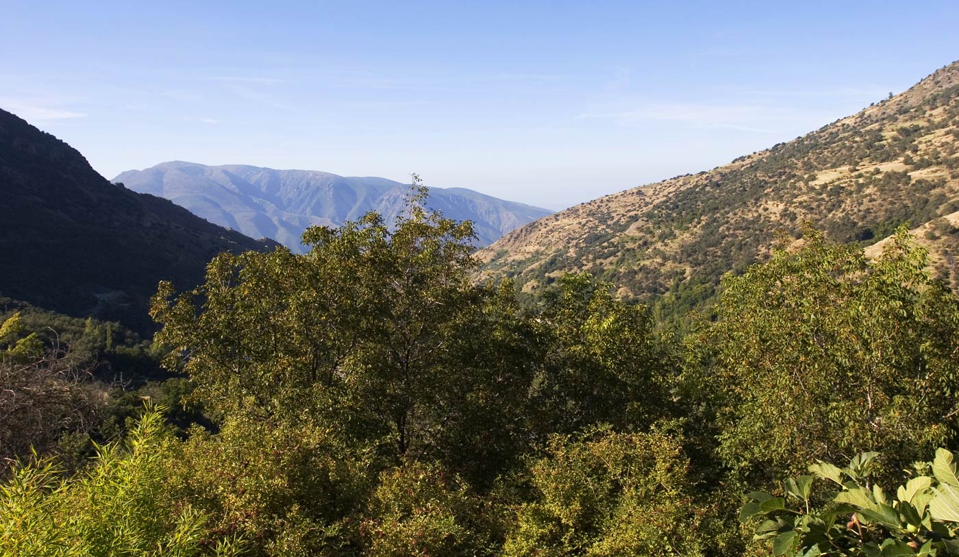 Tus vistas (foto de verano)