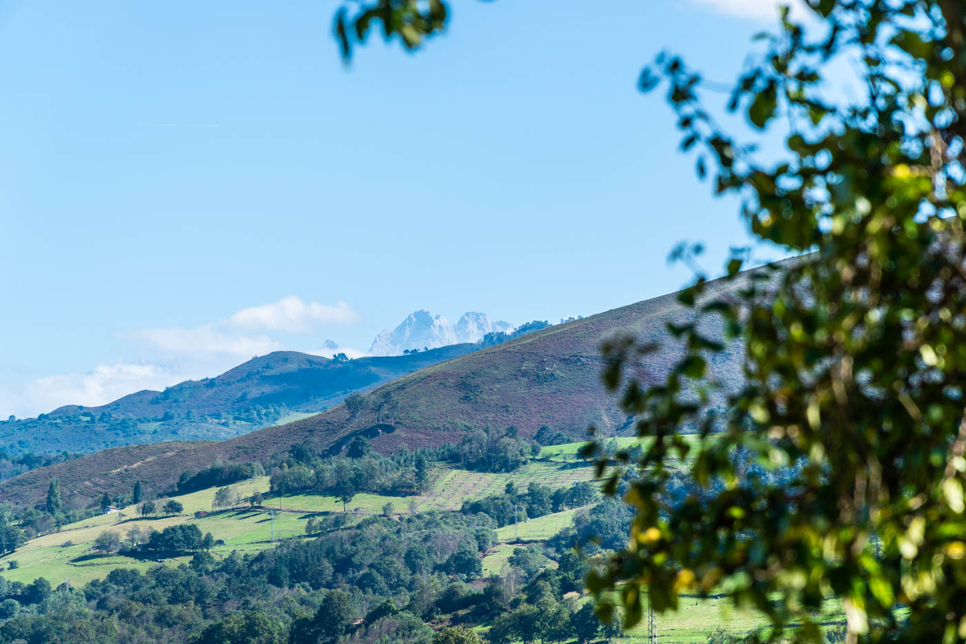 The impressive Picos de Europa in the distance