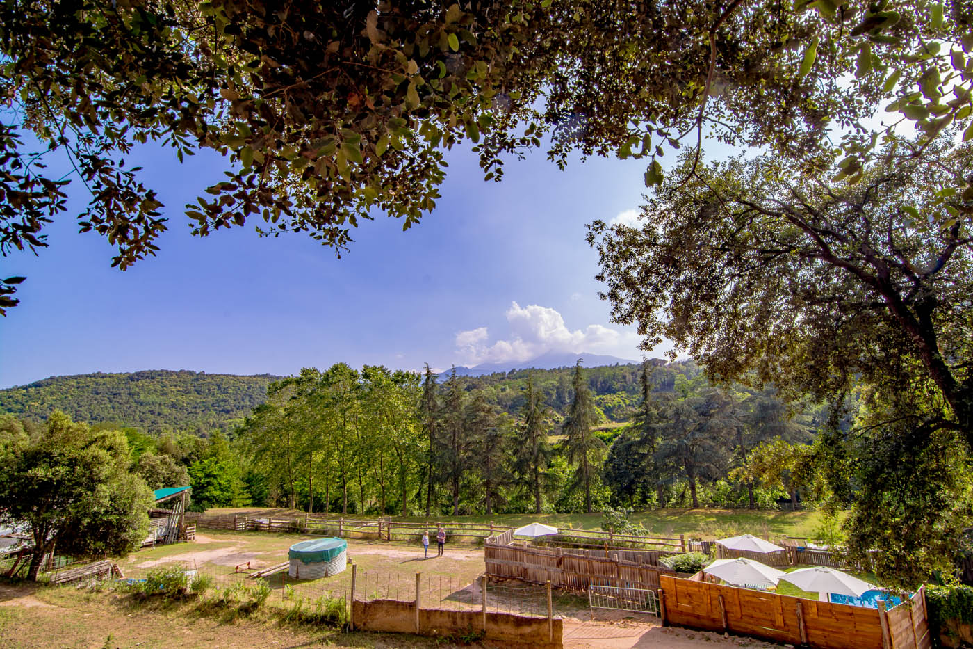 Relájate junto a la piscina con vistas al Montseny