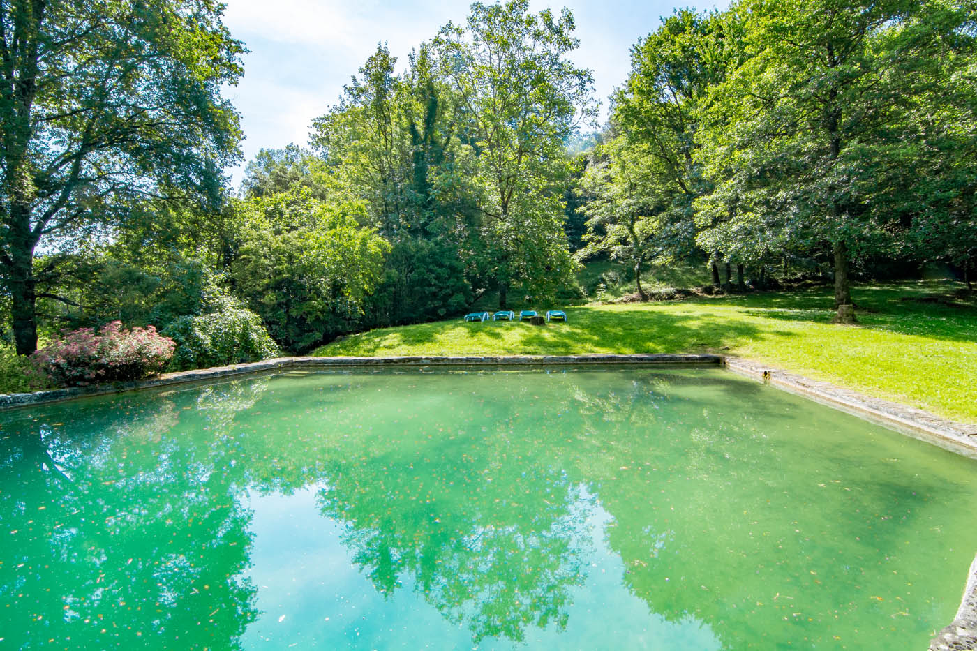 Los espesos bosques proporcionan completa privacidad