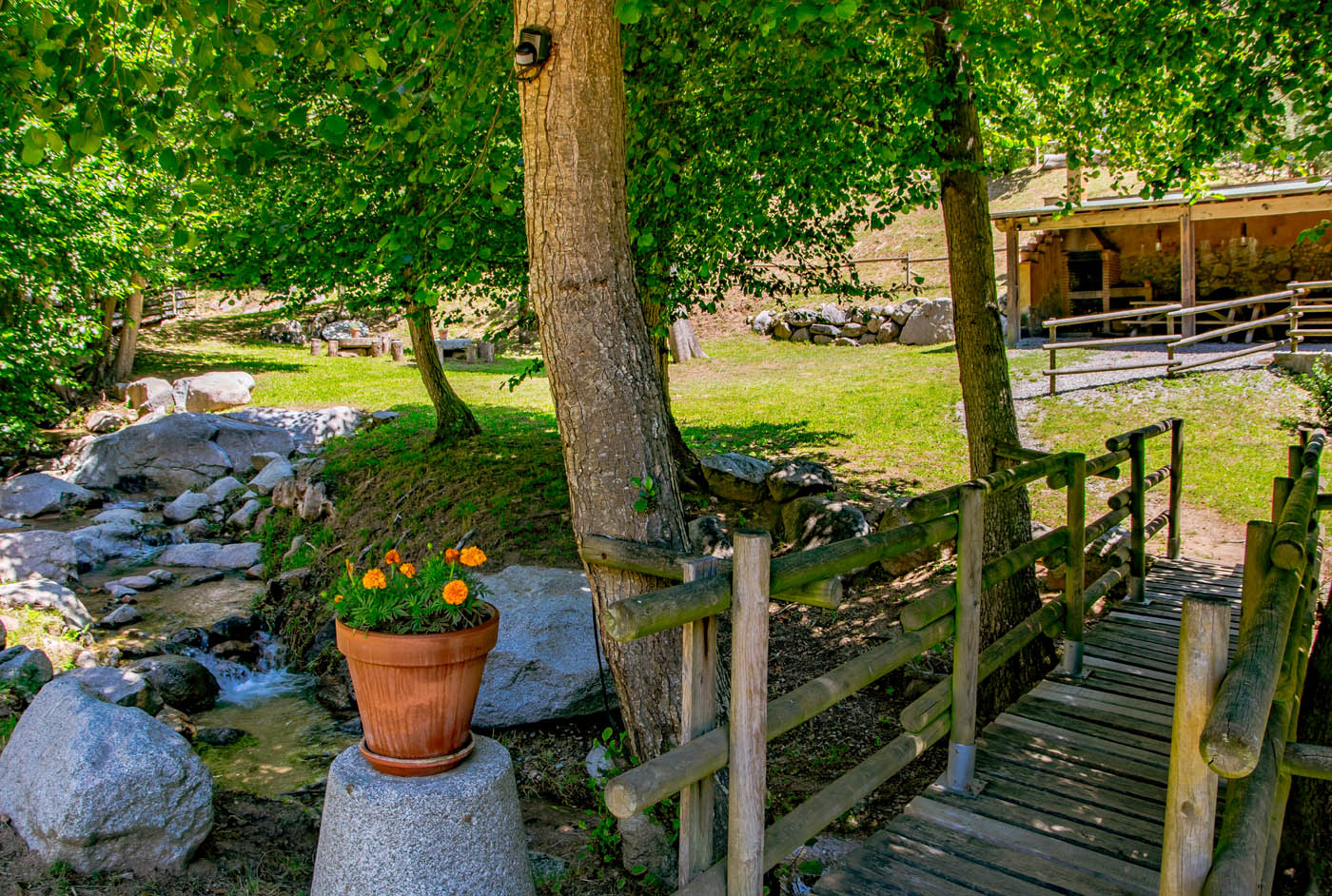 Llegada encantadora a través del puente de madera