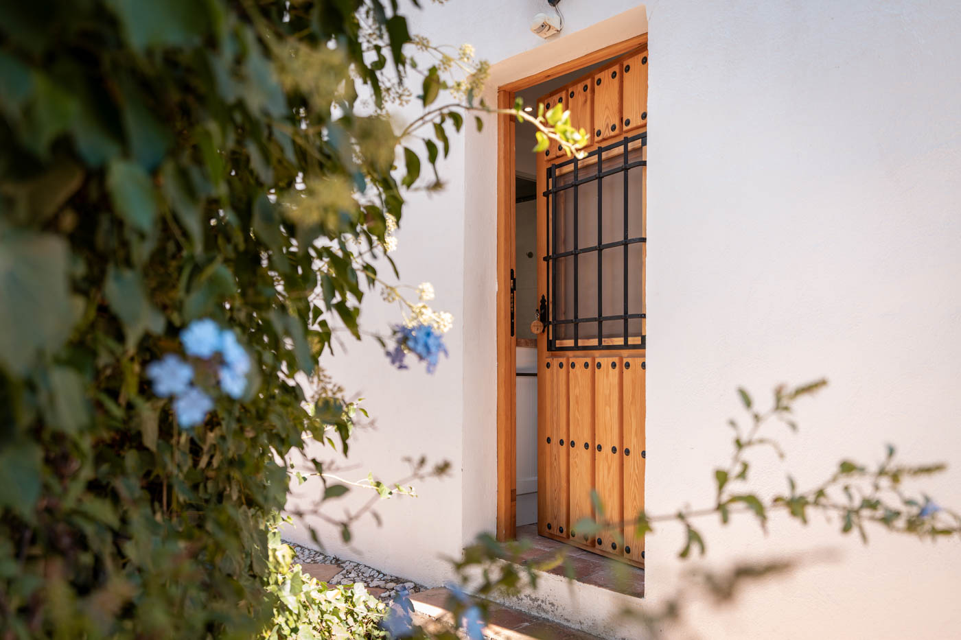 Puerta del Anexo (Estudio del Jardín)