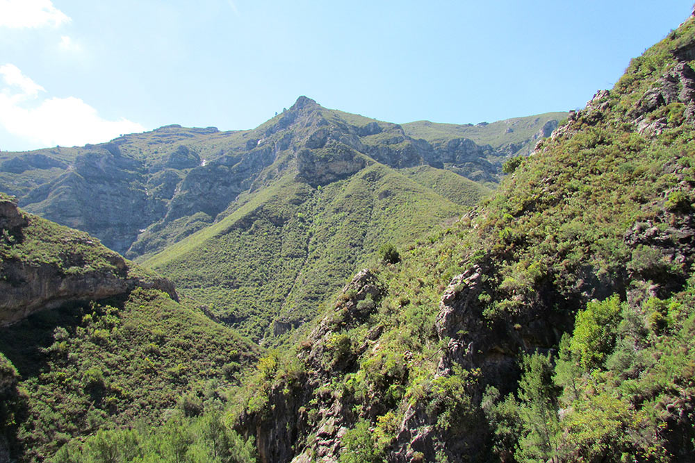 Adéntrate en zonas salvajes cercanas a tu villa
