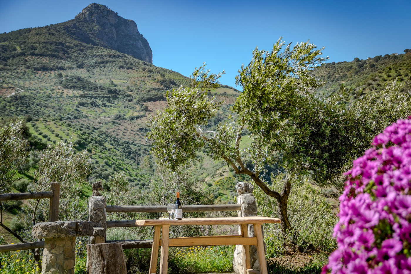 Look at the Tajo mountain (mid Spring photo)