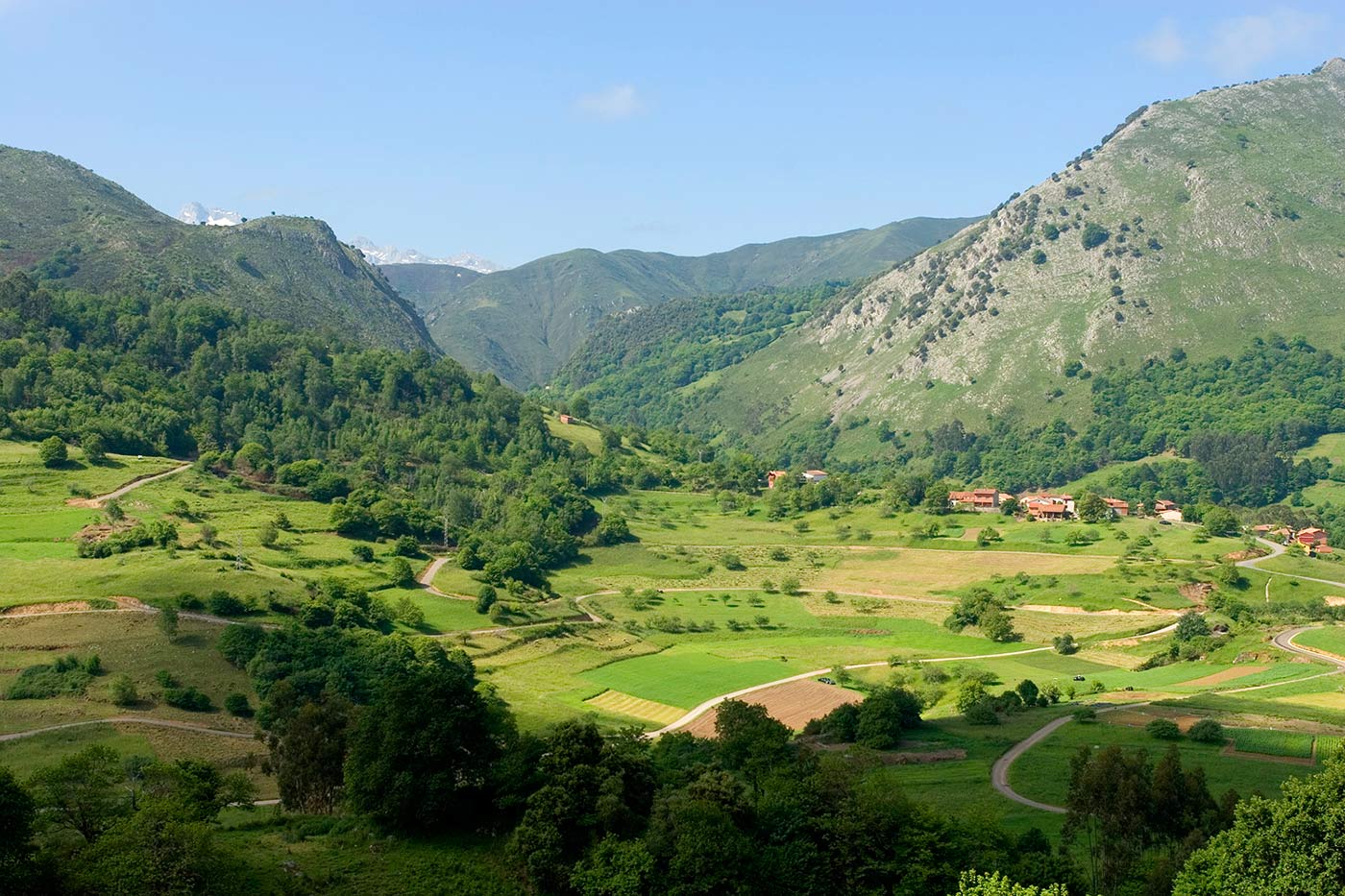This is your valley with snow topped Picos as backdrop