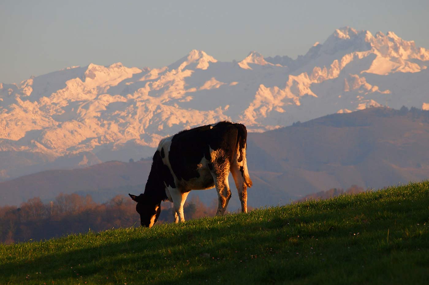 View of Picos de Europa 