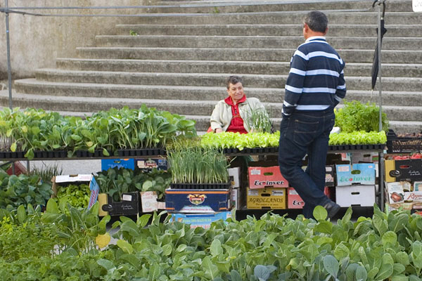 Street market in Betanzos