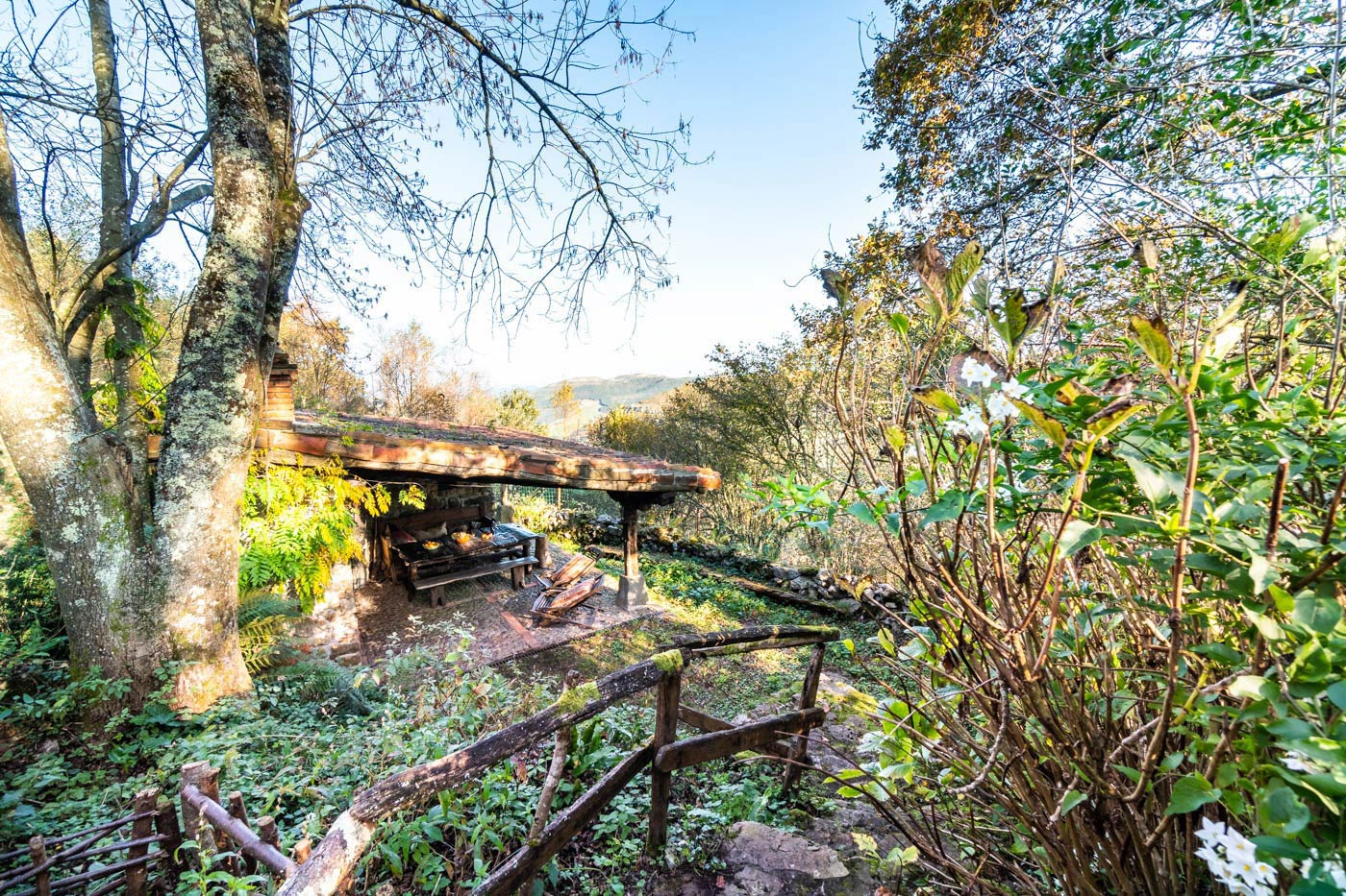 Steps down to barbecue area