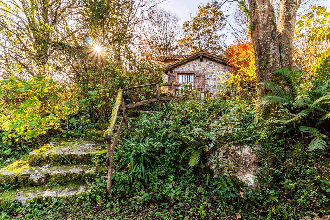 Steps down to barbecue area