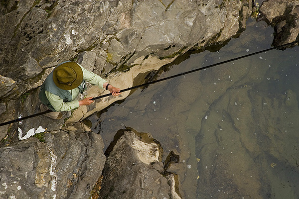 Trout fishing in Cangas de Onis river