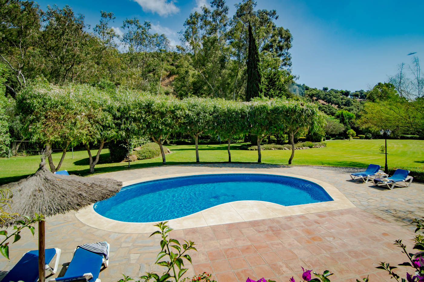 La amplia piscina mide 11 metros de largo y es calefactable 