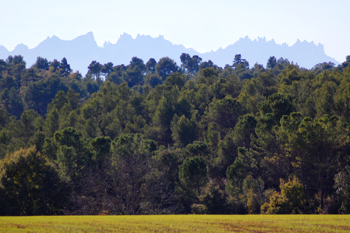 View of the unmistakeable sierra of Montserrat from nearby
