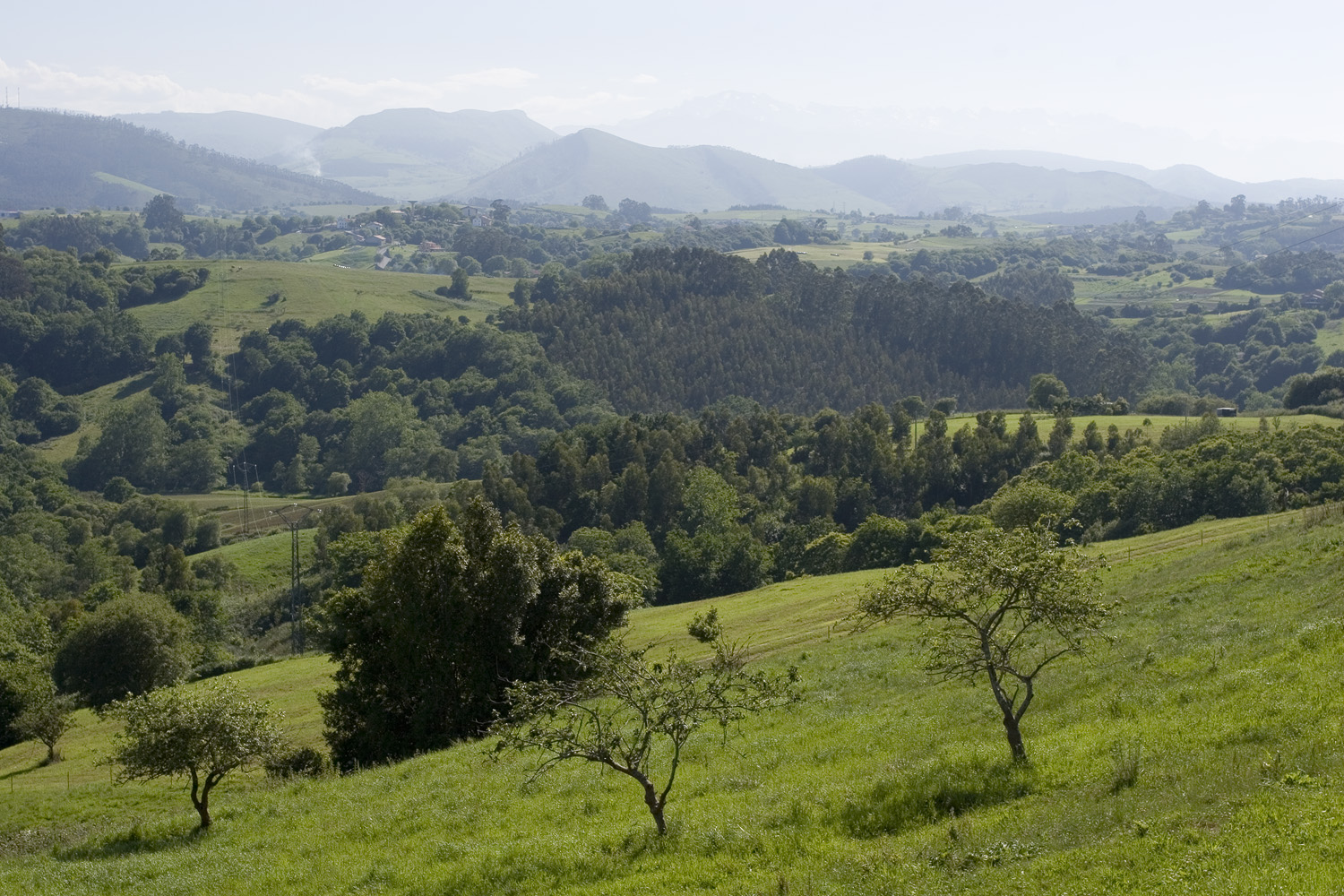 Inland from Santander