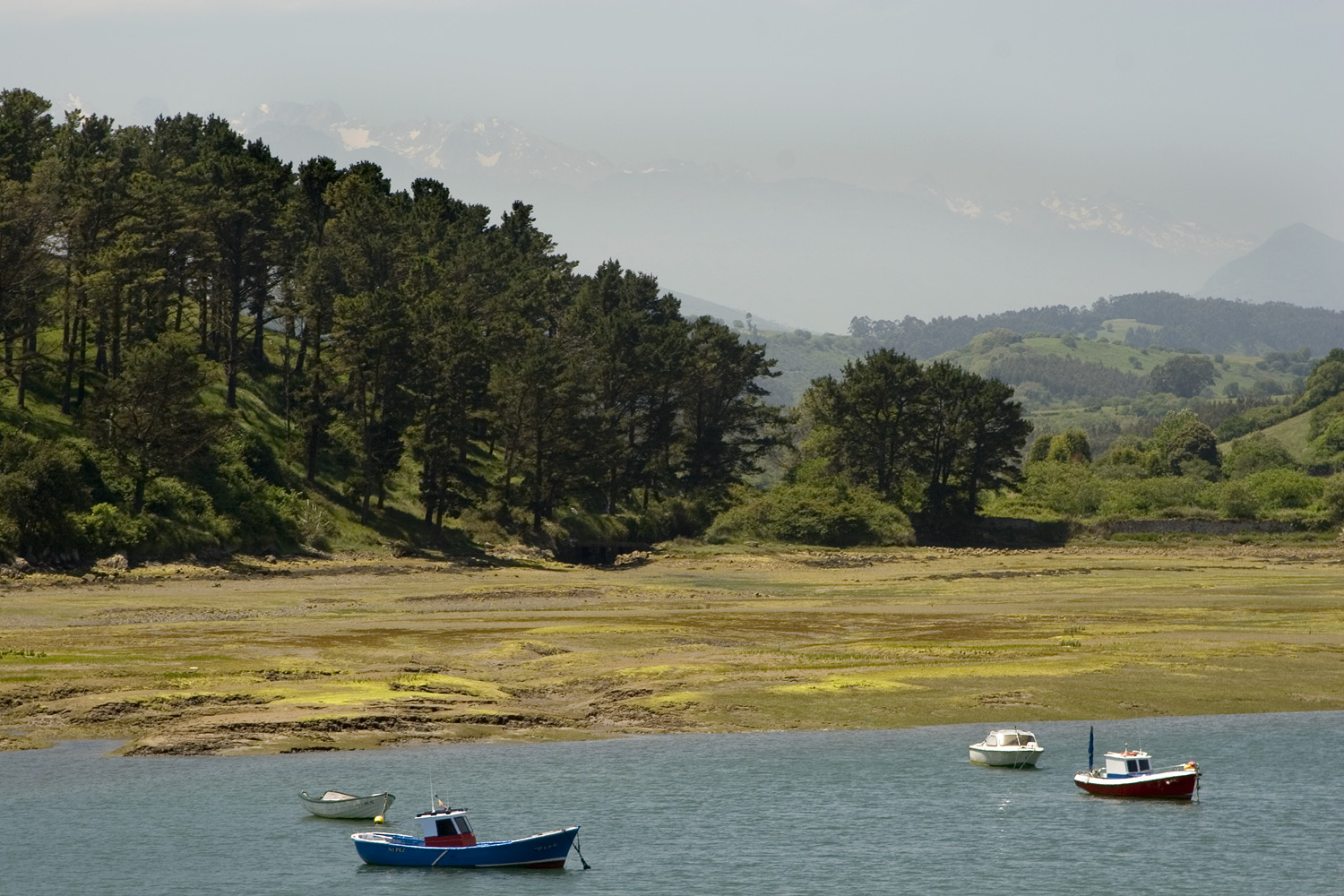 Estuary in San Vicente
