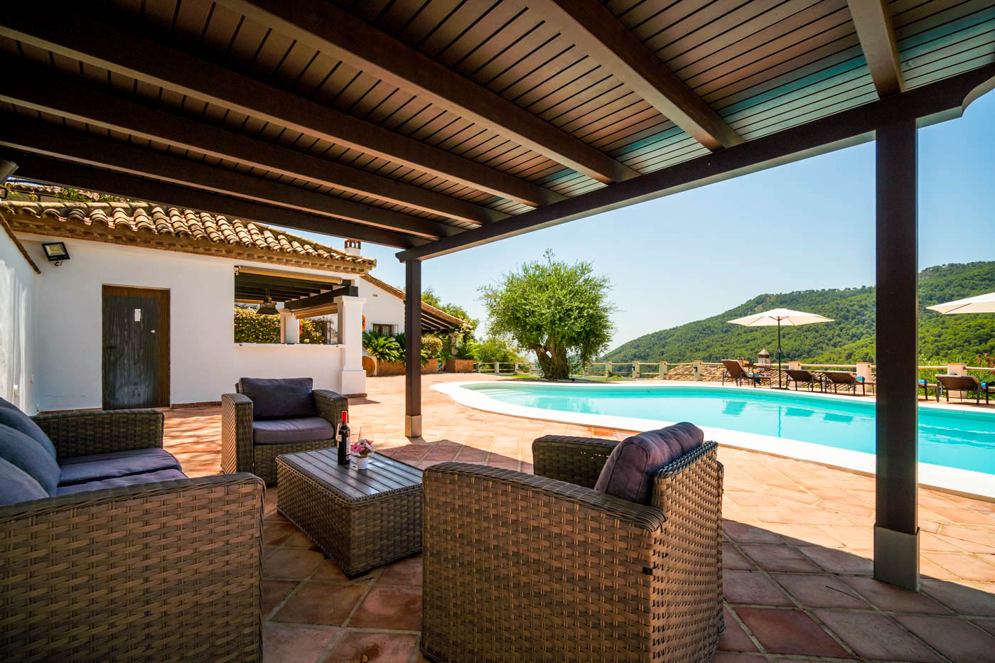 New pergola from Summer 2019