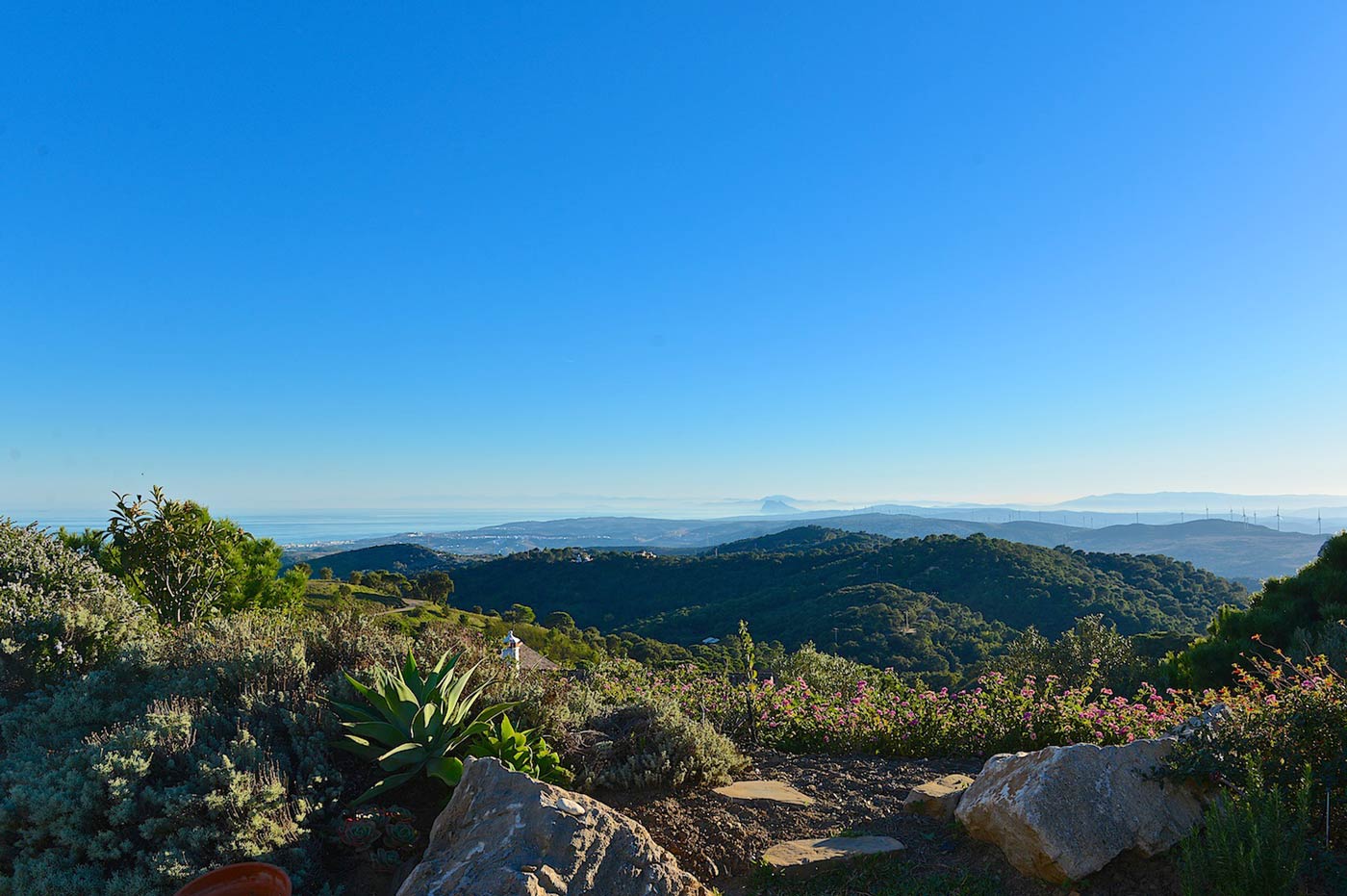 View from the garden