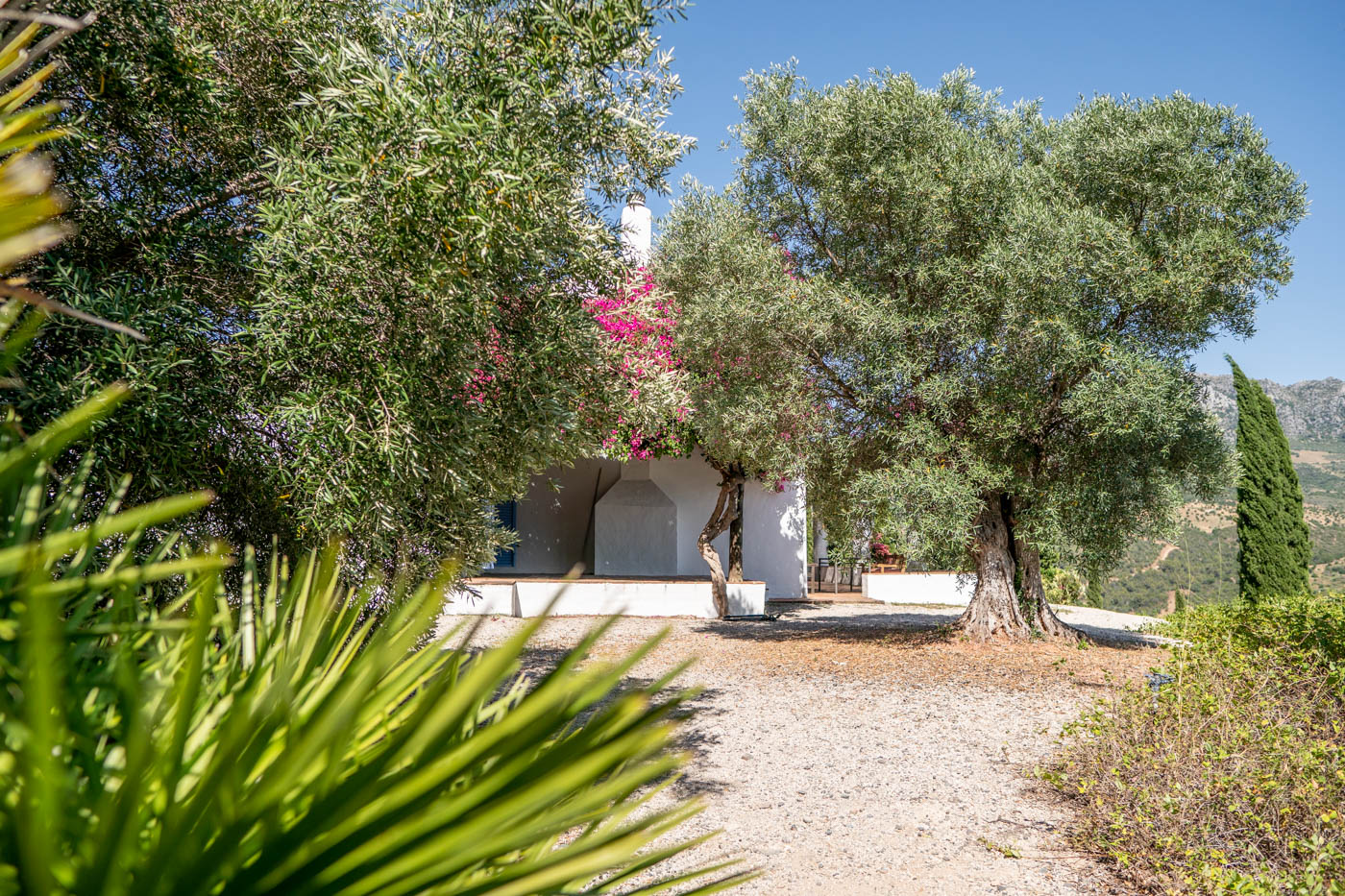 Your hideaway in rural Andalucia