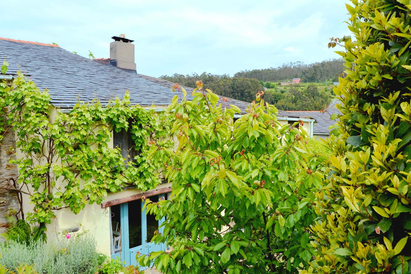 Tu casa rural en Galicia