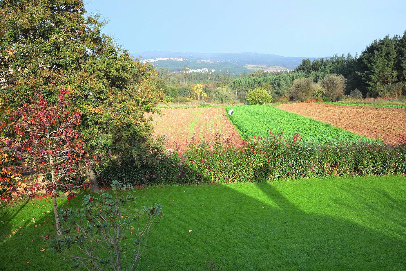 Views to cultivated fields from terrace 