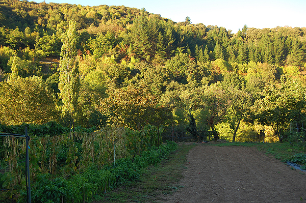 Fertile cultivated grounds in this sunny region