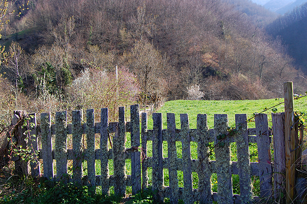 Near Pesaguero, a beautiful winter walk