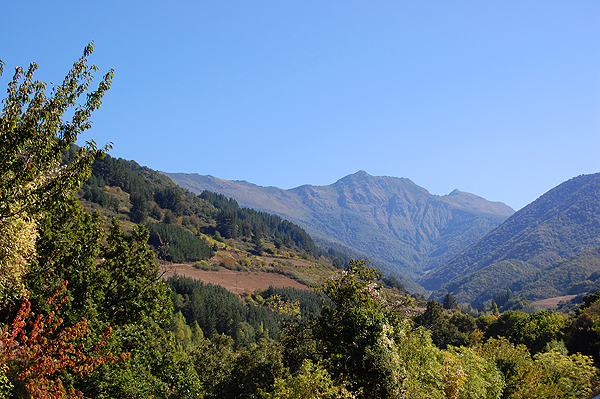 Bedoya valley, where we find the most ancient yew forest in Europe