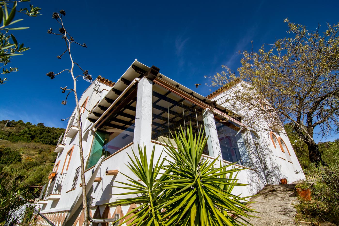 Conservatory lounge seen from outside