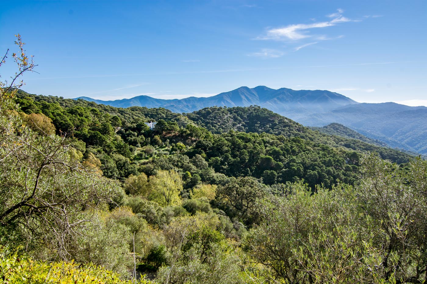 Your views are inspiring