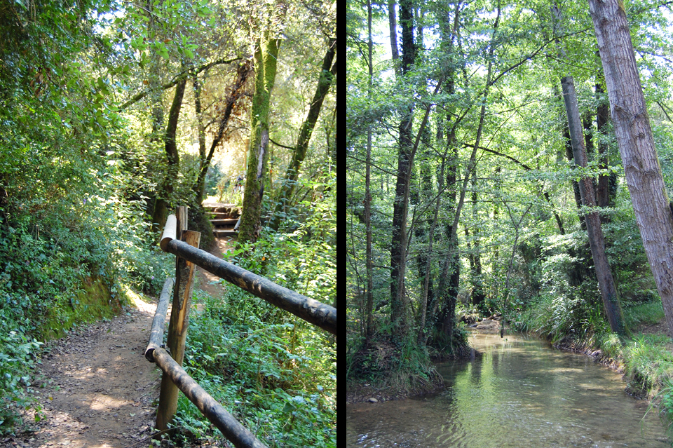 Rural Girona is thickly wooded