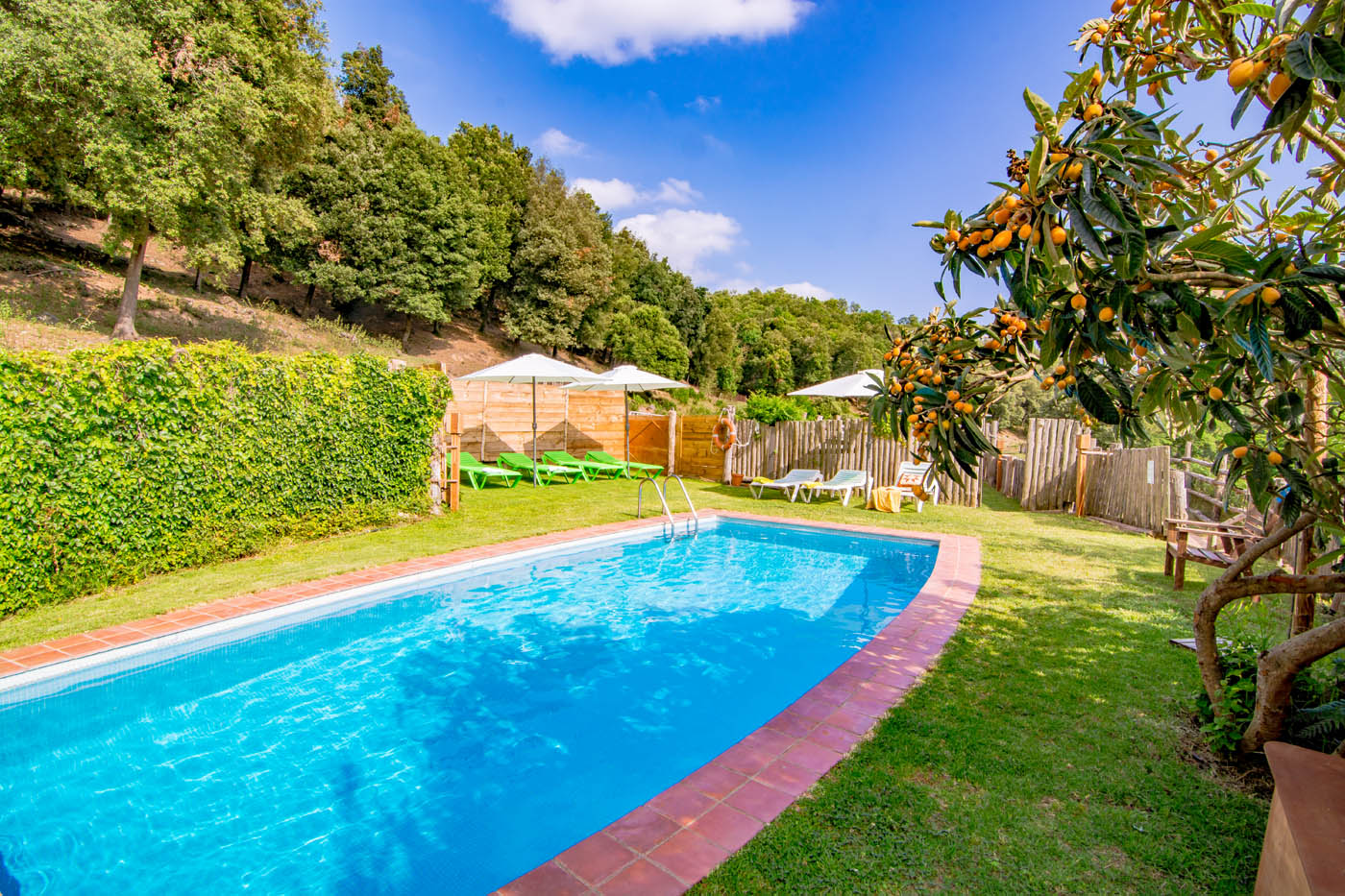 Piscina y jardines con césped y nísperos 