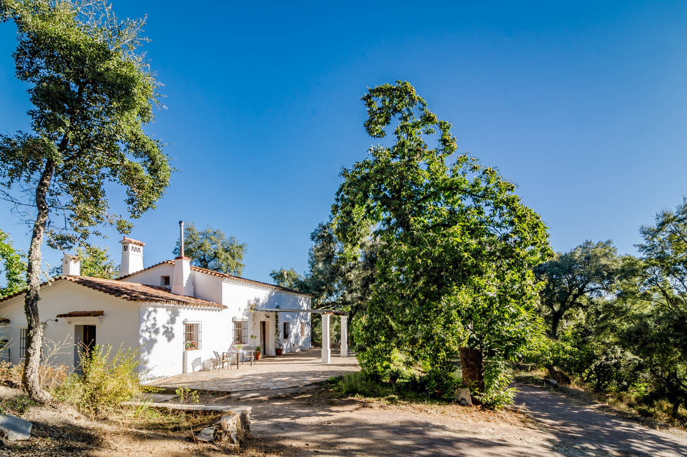 La propiedad tiene una sola planta 