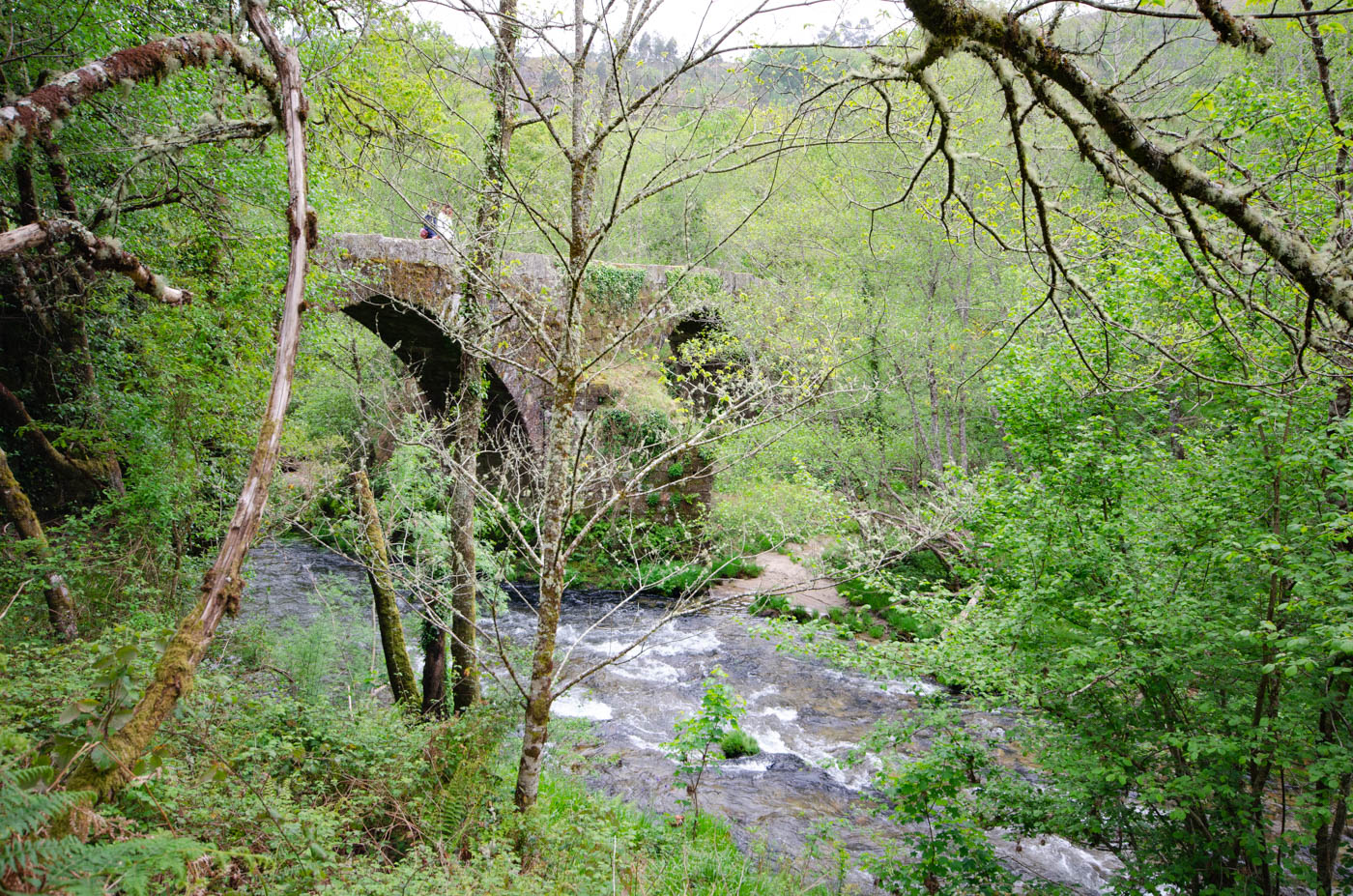 Río salvaje a tan solo 15 minutos de tu propiedad