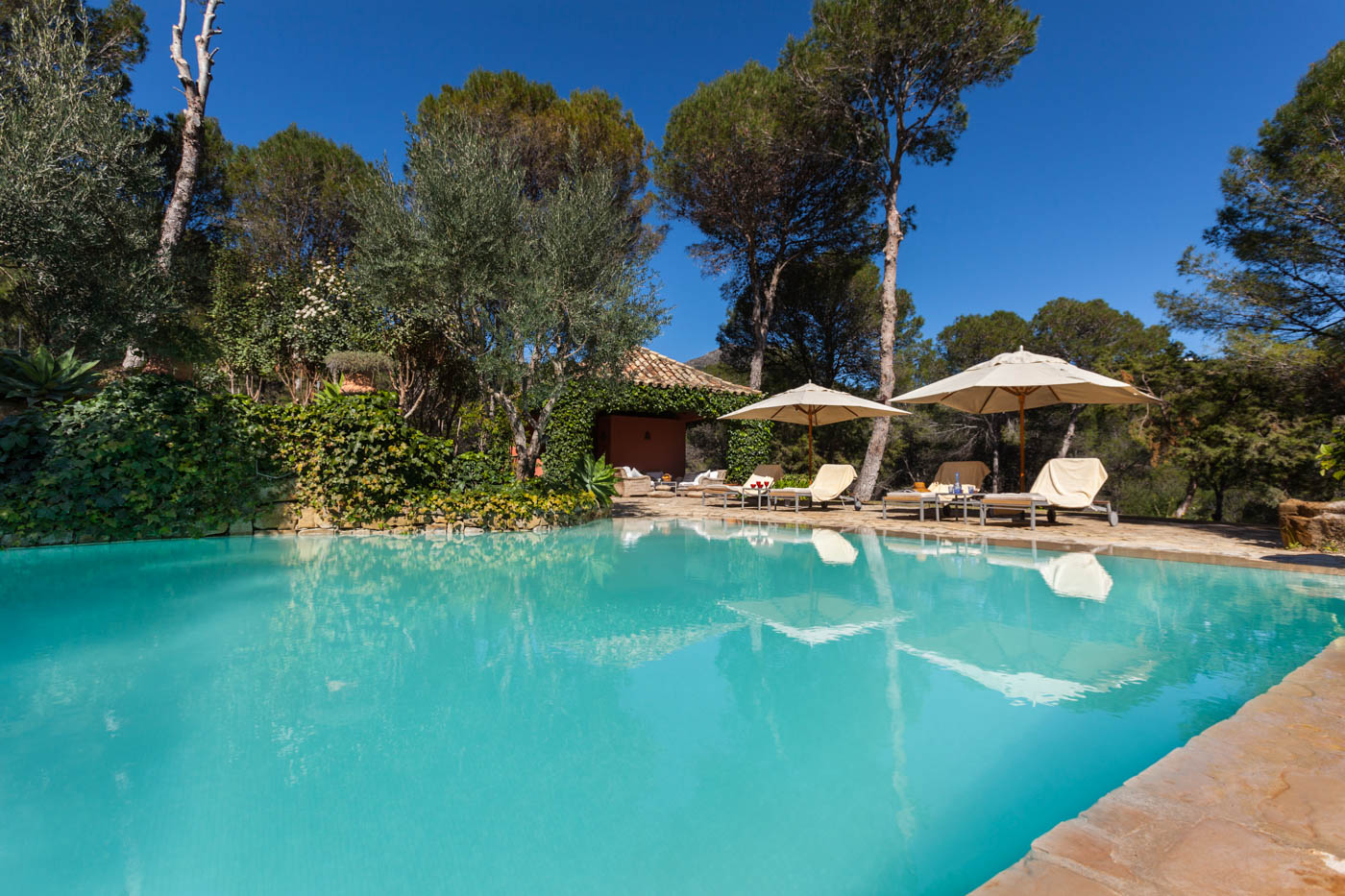 Tumbonas y sombrillas