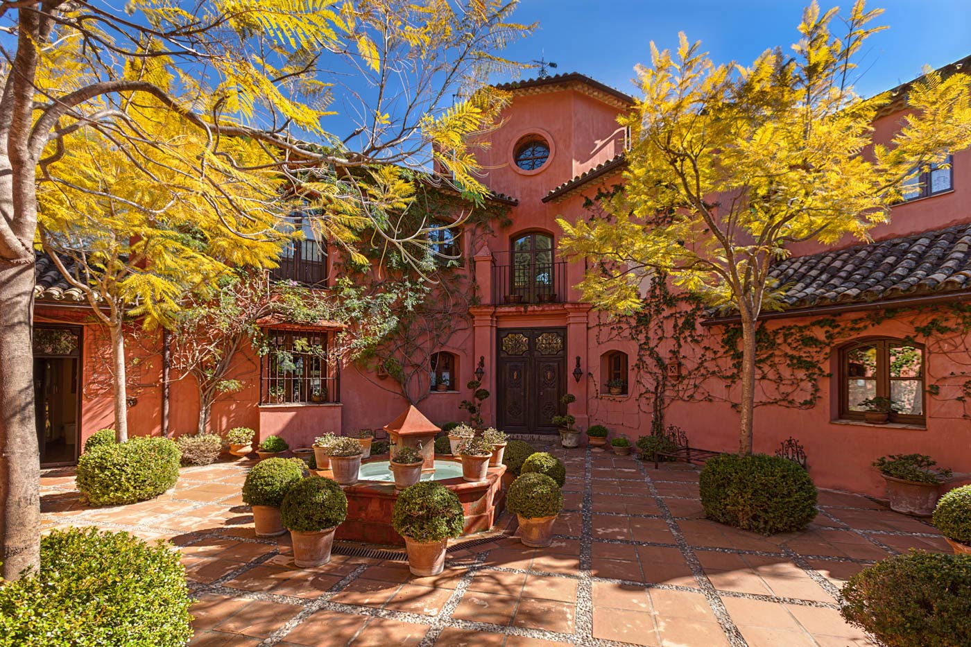 Patio / entrada principal