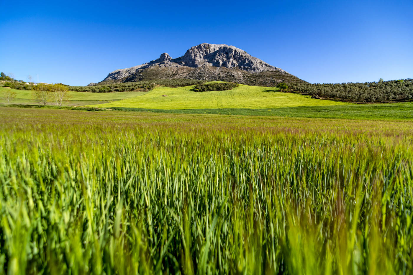 Tu entorno en Andalucía rural