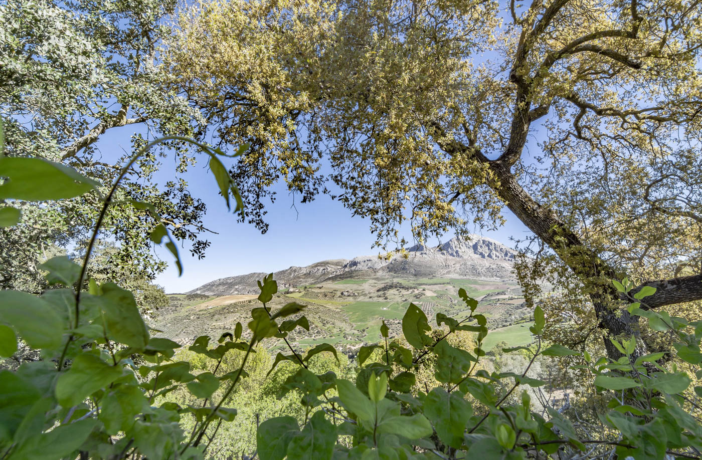 Vistas hacia las montañas de El Torcal