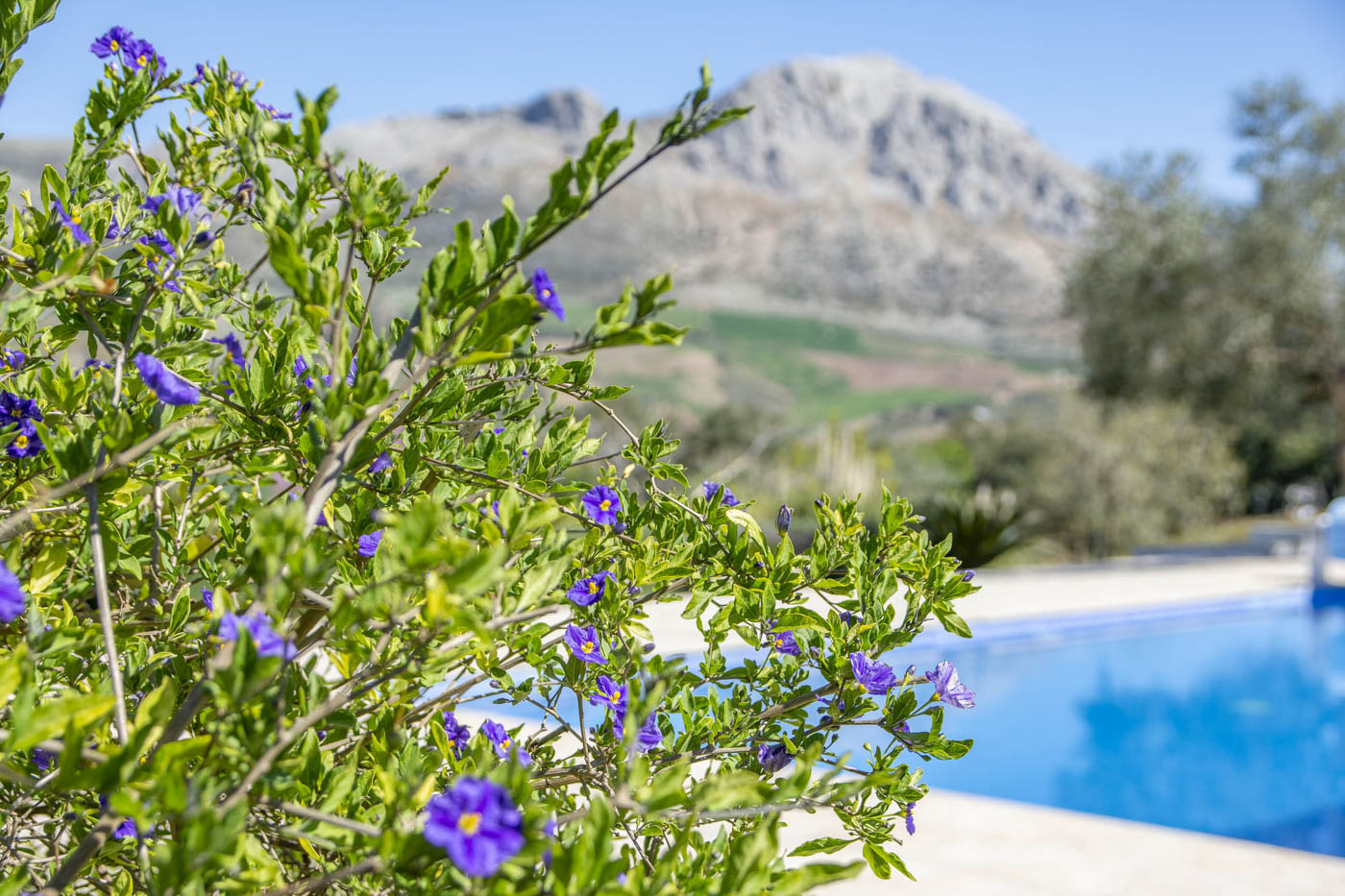 Entorno idílico de vacaciones