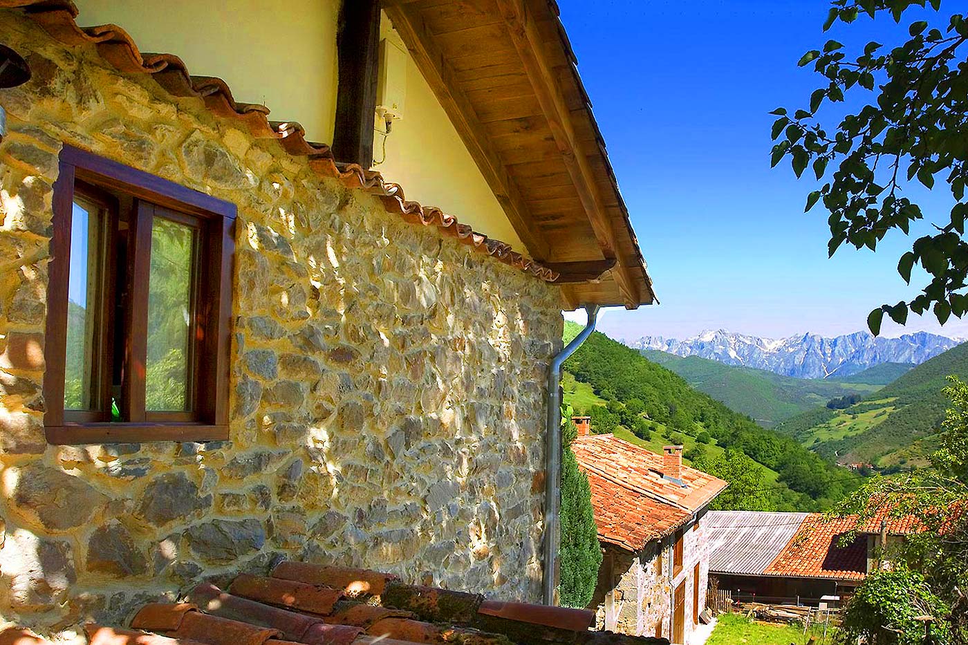 Views to Picos de Europa from property 