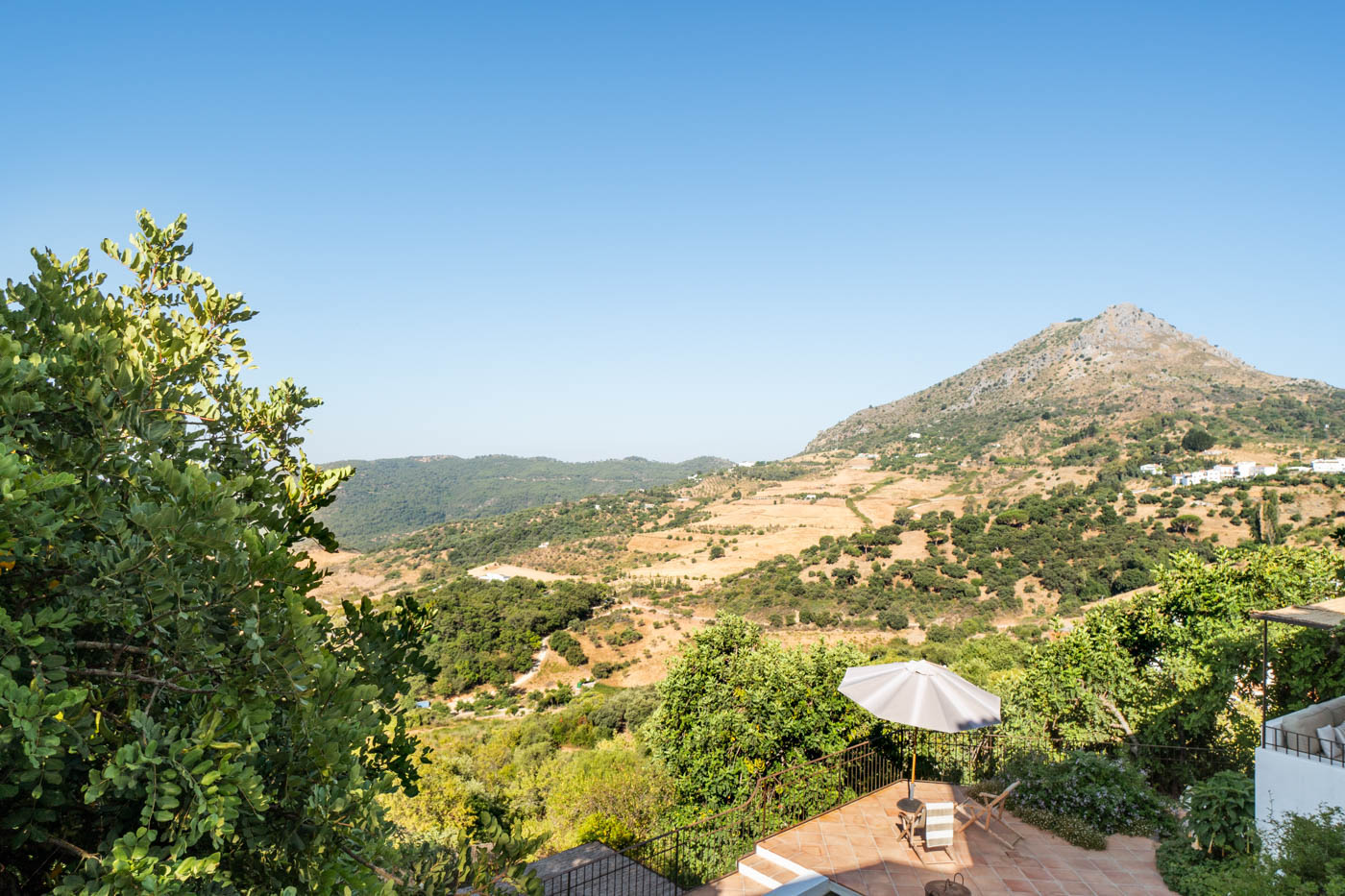 Views from second floor 