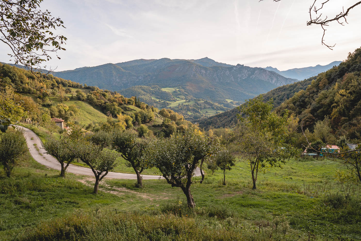 Acceso del pueblo a la casa