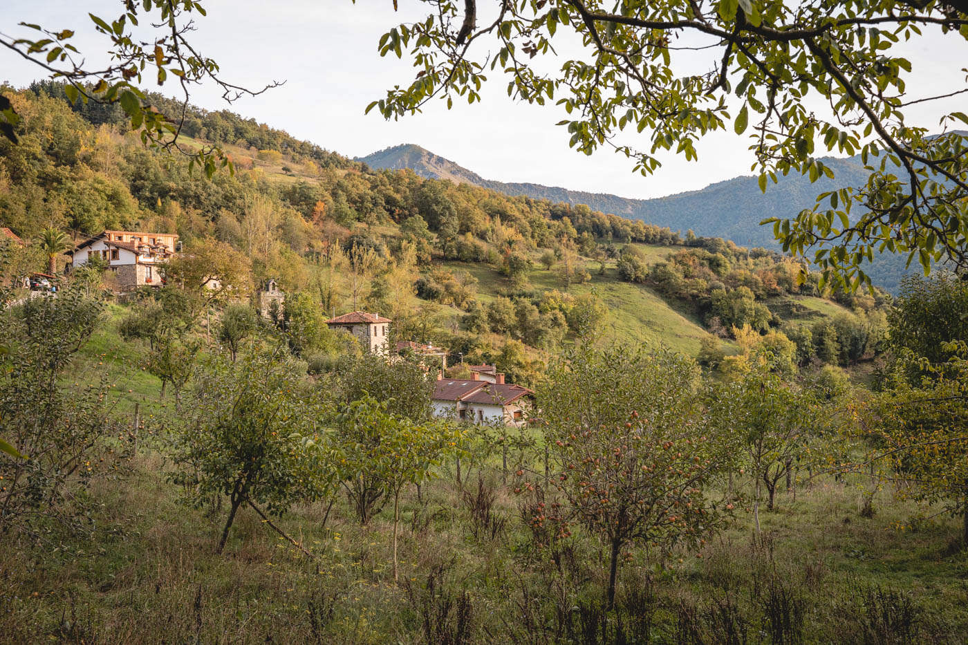 Your little holiday village (one restaurant)