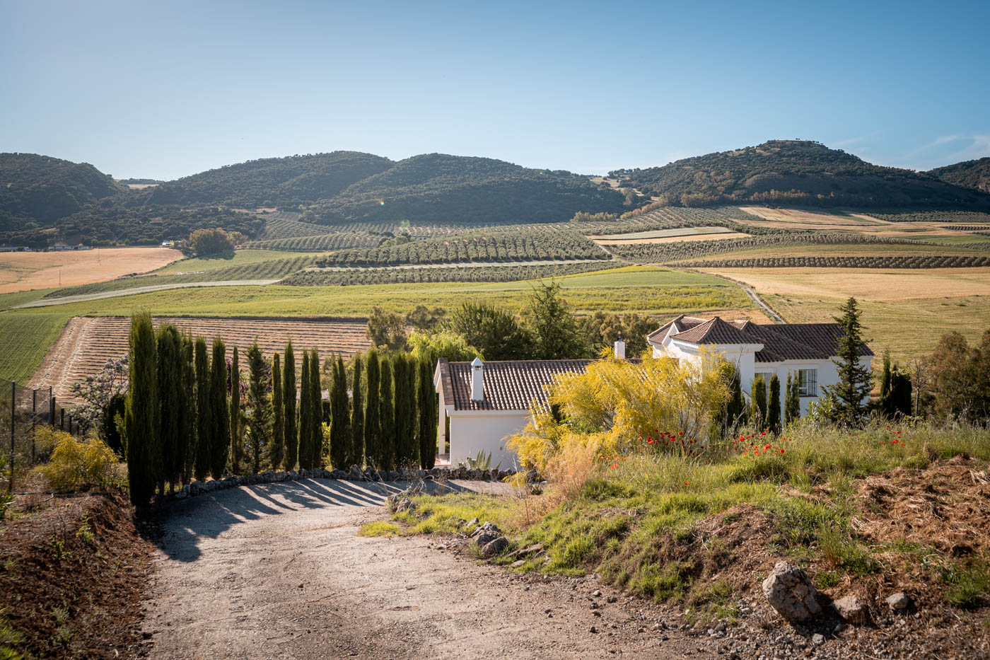 Pista privada a la finca