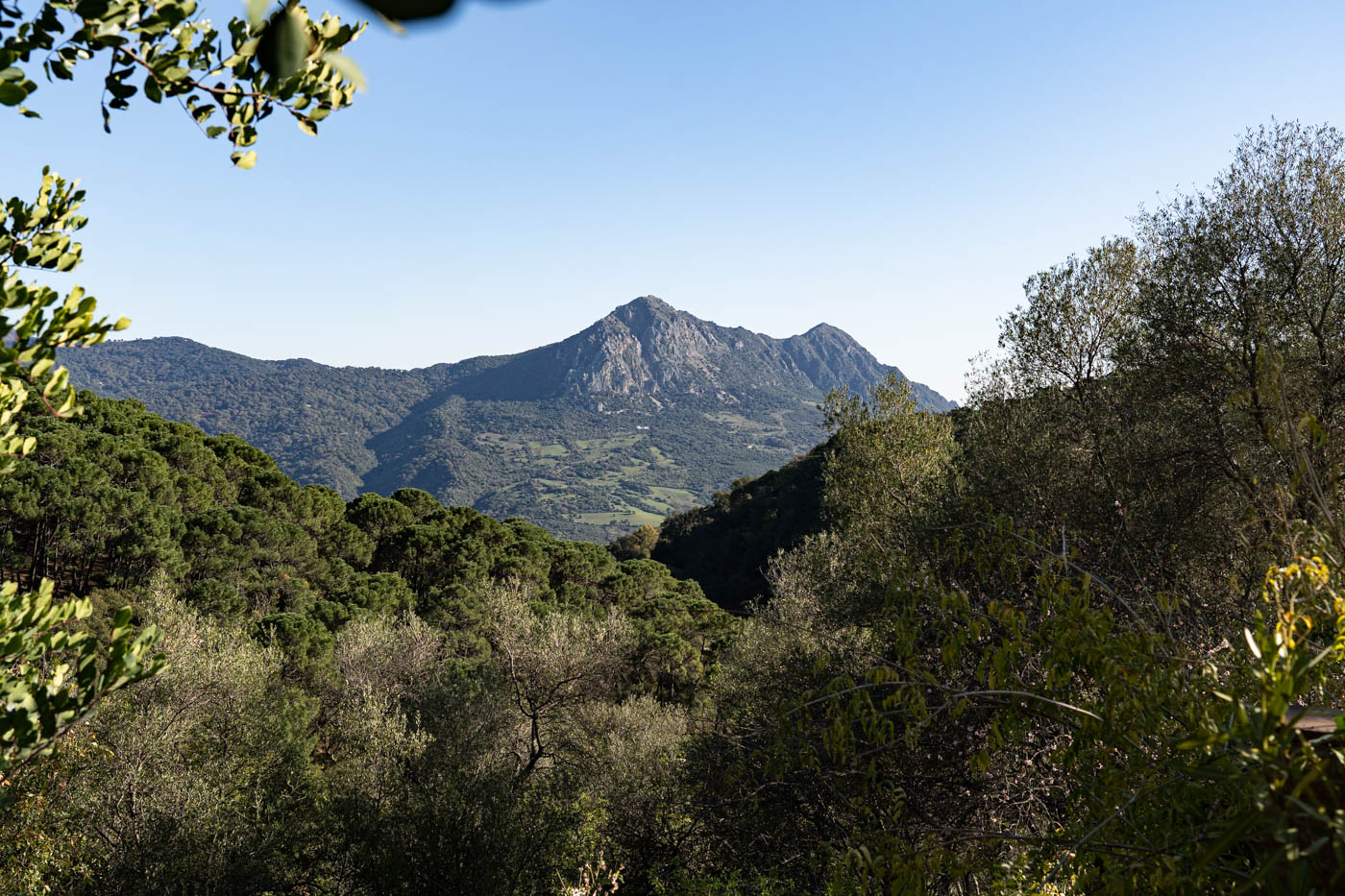 Mediterranean nature and gorgeous views