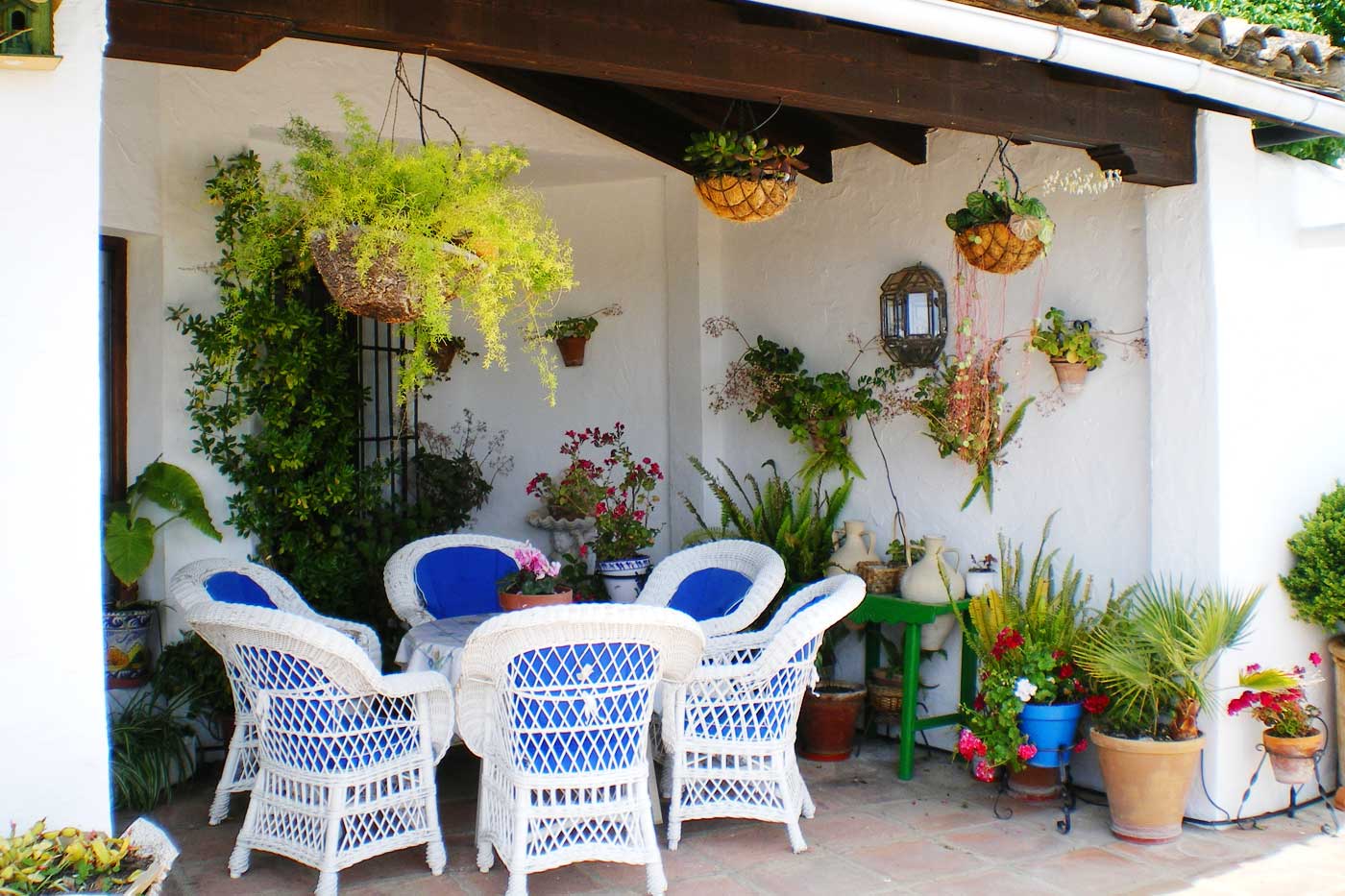 Terrace accessed from living area