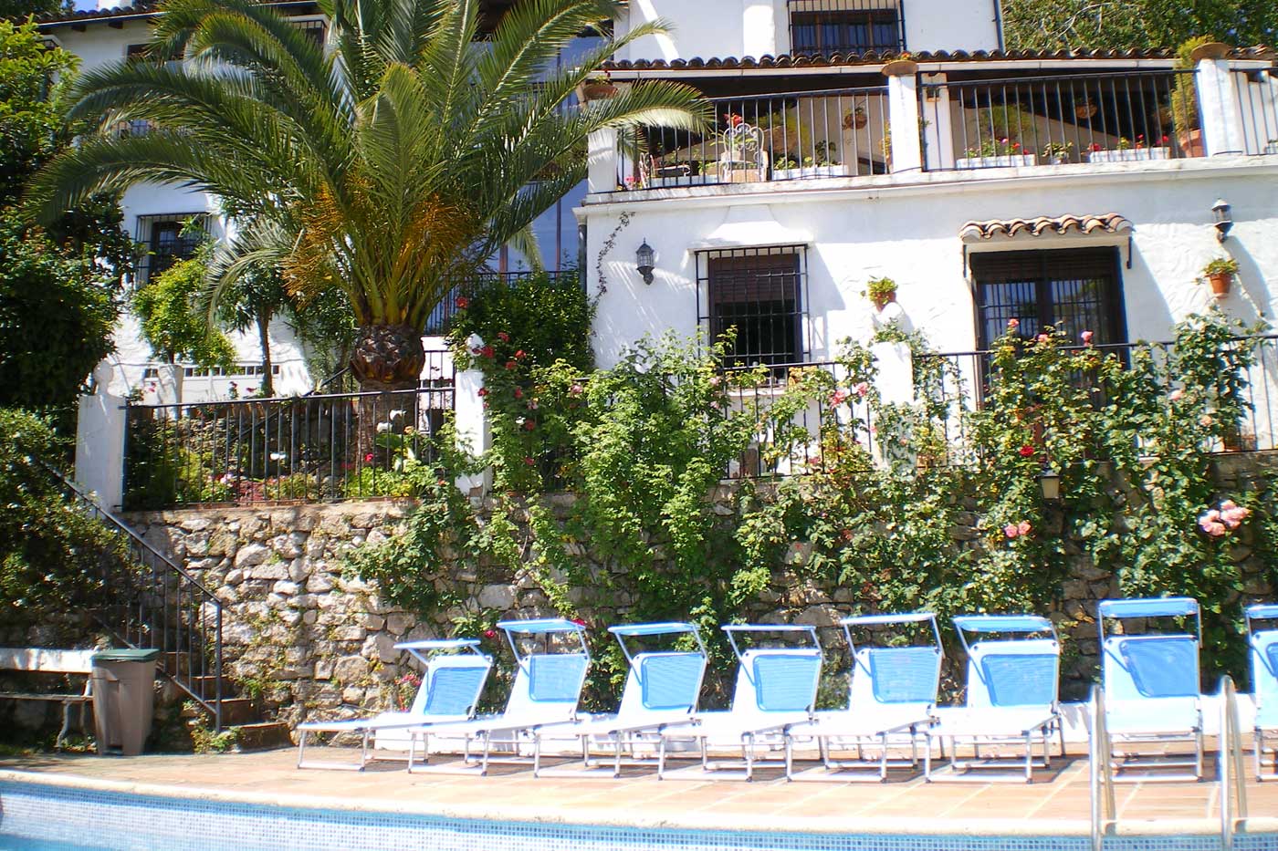 Pool area with sunloungers and garden