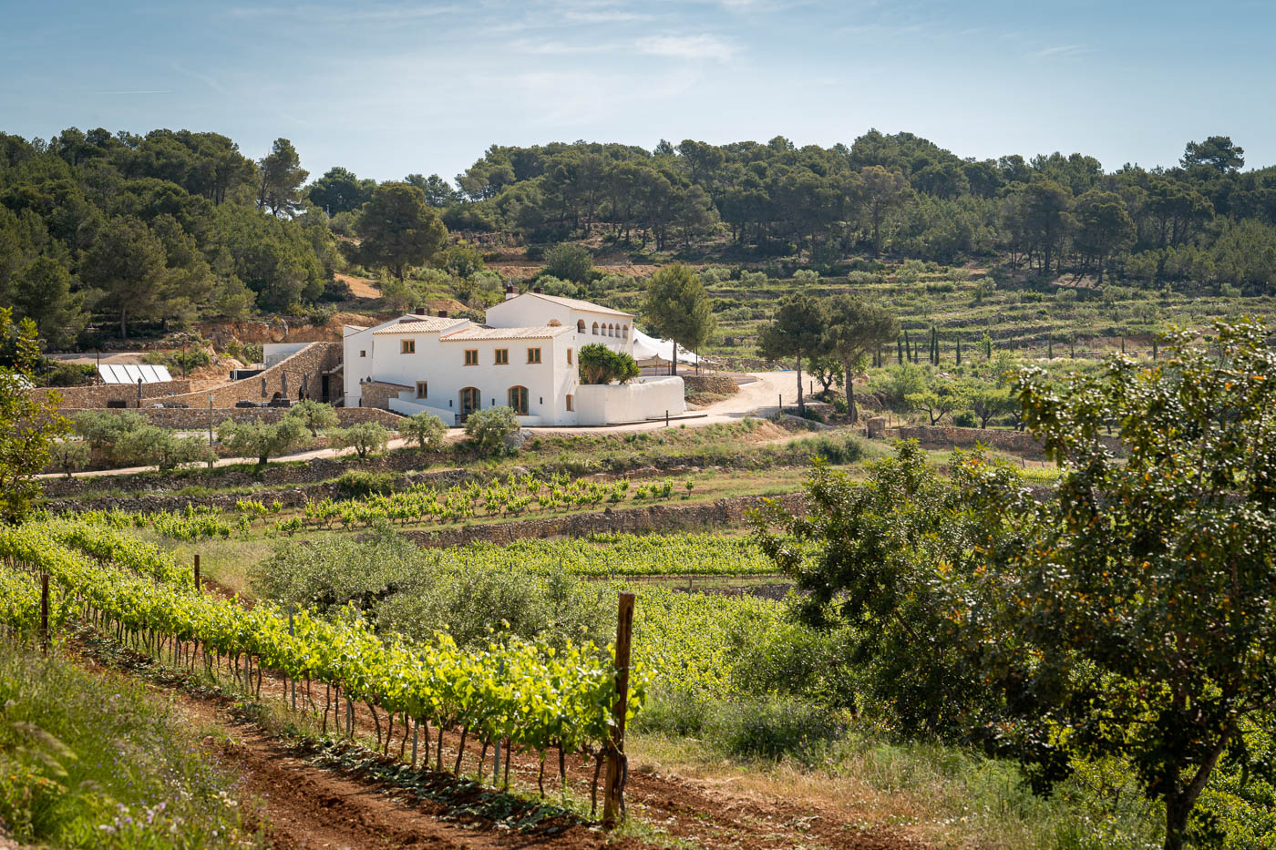 Fabuloso enclave rodeado de viñedos