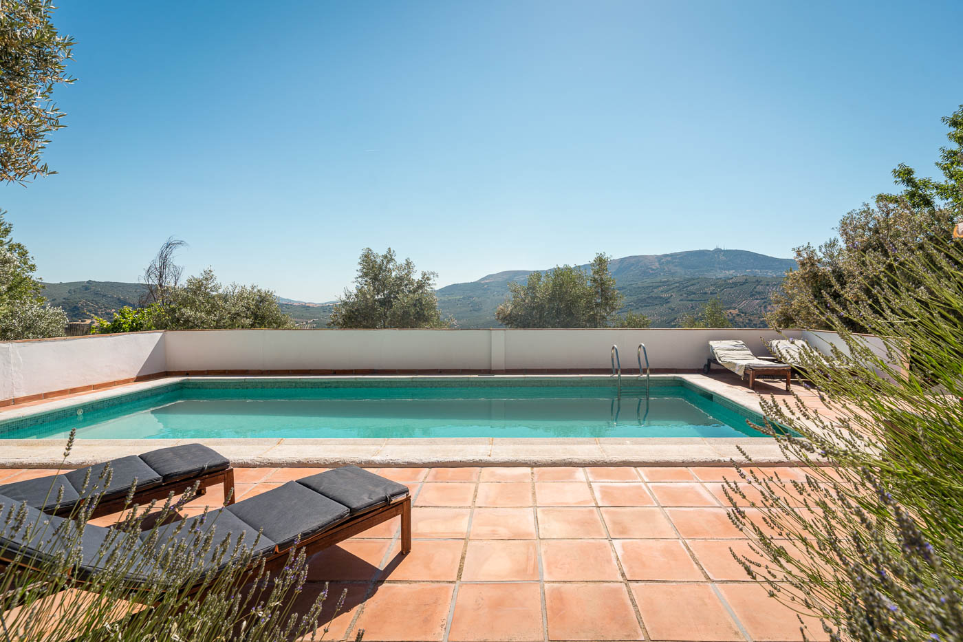 El solado alrededor de la piscina ahora es de césped artificial
