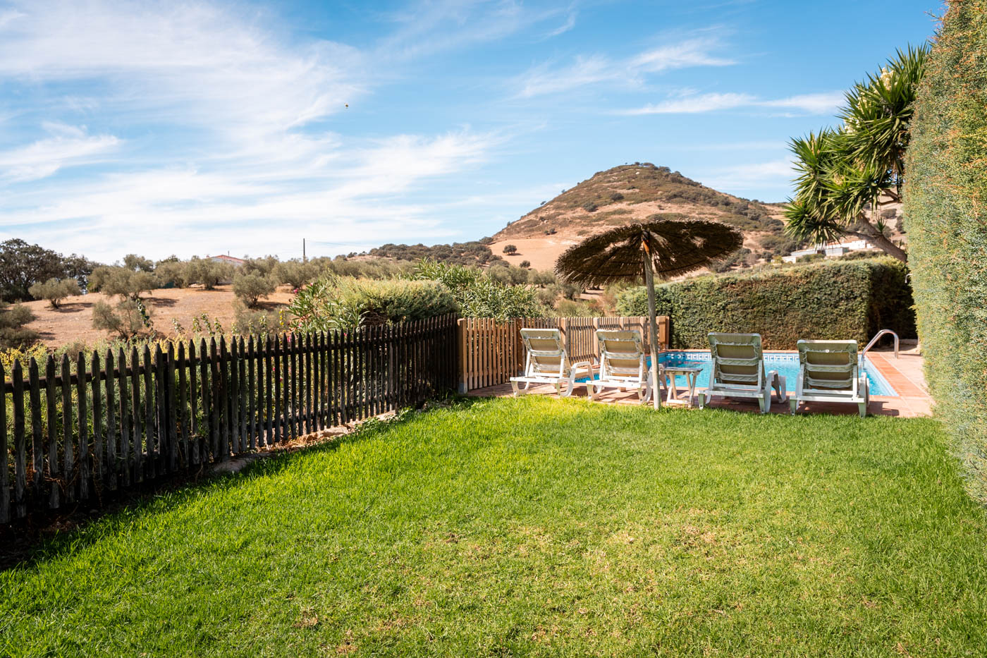 Lawned area next to swimming pool